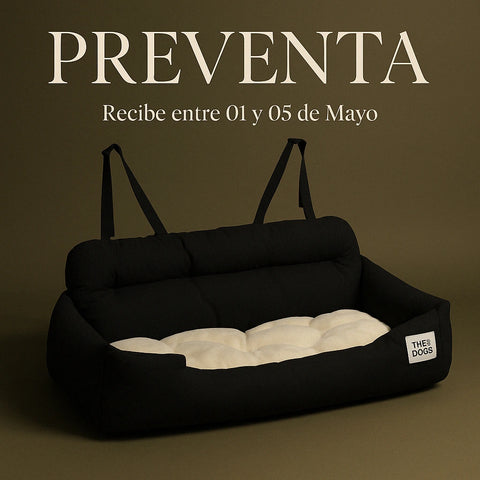 Asiento Primera Clase The Dogs