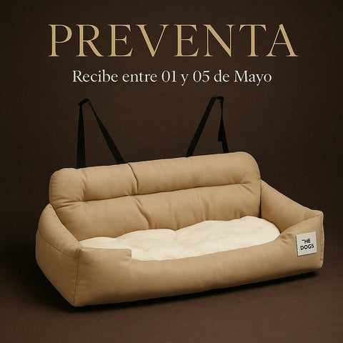 Asiento Primera Clase The Dogs
