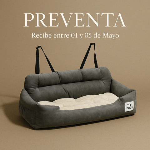 Asiento Primera Clase The Dogs