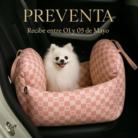 Asiento Primera Clase The Dogs