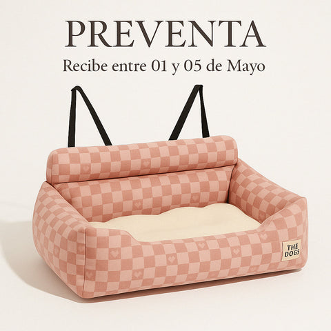 Asiento Primera Clase The Dogs