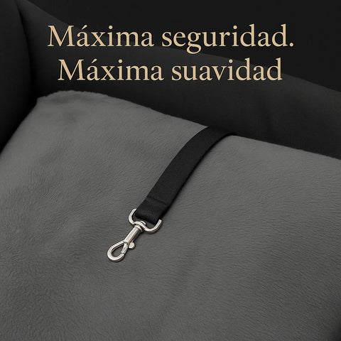 Asiento Primera Clase TheDogs - THE DOGS CHILE