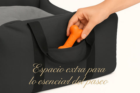 Asiento Primera Clase TheDogs - THE DOGS CHILE