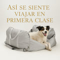 Asiento Primera Clase TheDogs - THE DOGS CHILE