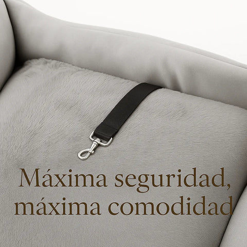 Asiento Primera Clase The Dogs - THE DOGS CHILE