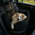 Asiento Primera Clase TheDogs - THE DOGS CHILE