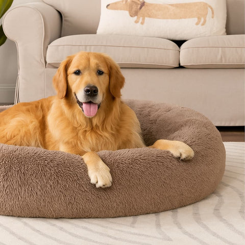Cama Anti-Estrés THE DOGS
