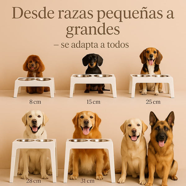 Comedero Elevado THE DOGS — Postura cómoda, piso más limpio.