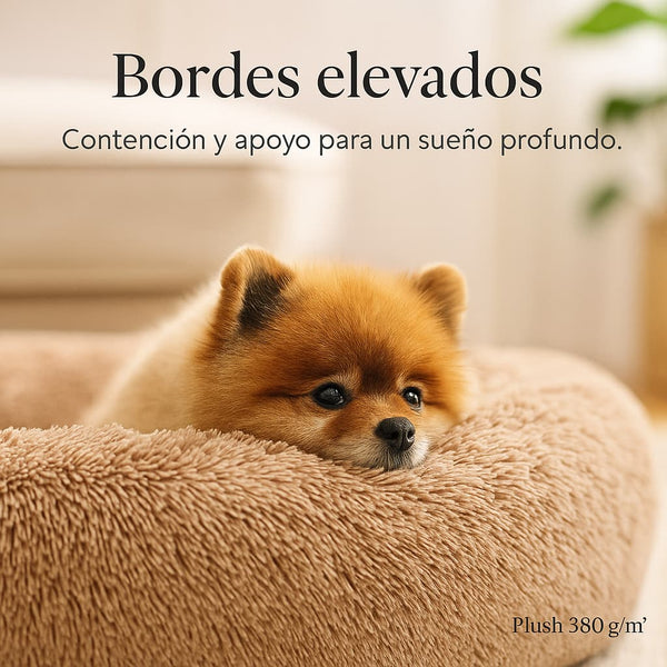 Debe Dormir Como Hacer Que Cachorro Duerma Solo Cama Para Perros