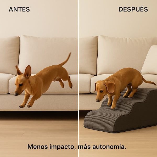 Rampa Pendiente Suave THE DOGS