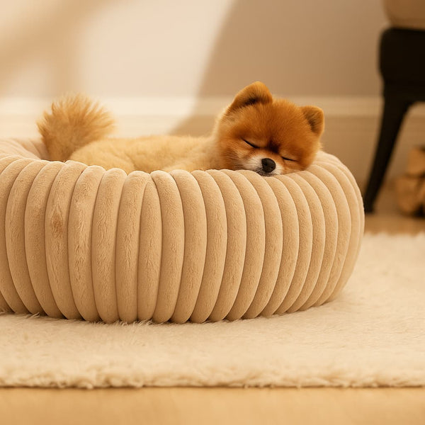Luxury Edition: Cama Anti-Estrés THE DOGS