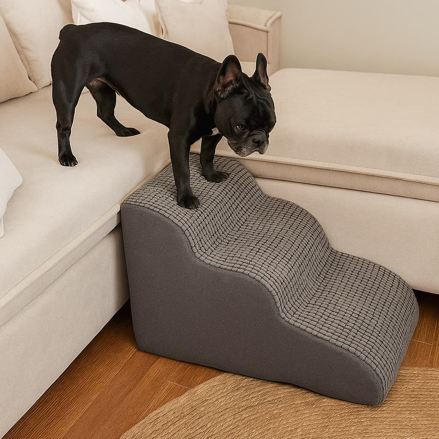 Perro aprendiendo a usar la Rampa Pendiente Suave THE DOGS