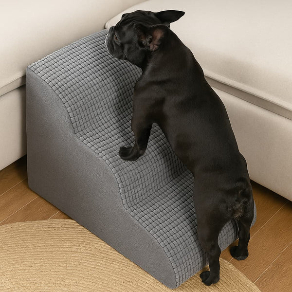 Rampa Pendiente Suave THE DOGS