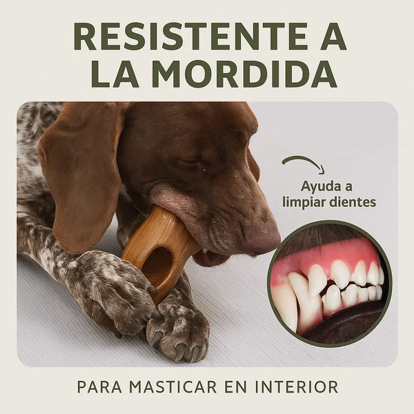 Tronco Mágico THE DOGS — Calma con Snacks Congelados