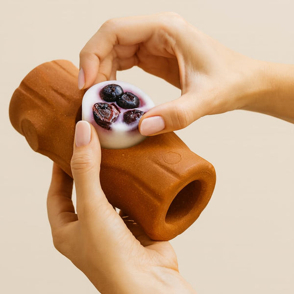 Tronco Mágico THE DOGS — Calma con Snacks Congelados