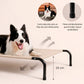 Cama Elevada THE DOGS: Frescura y Ventilación