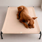 Cama Elevada THE DOGS: Frescura y Ventilación
