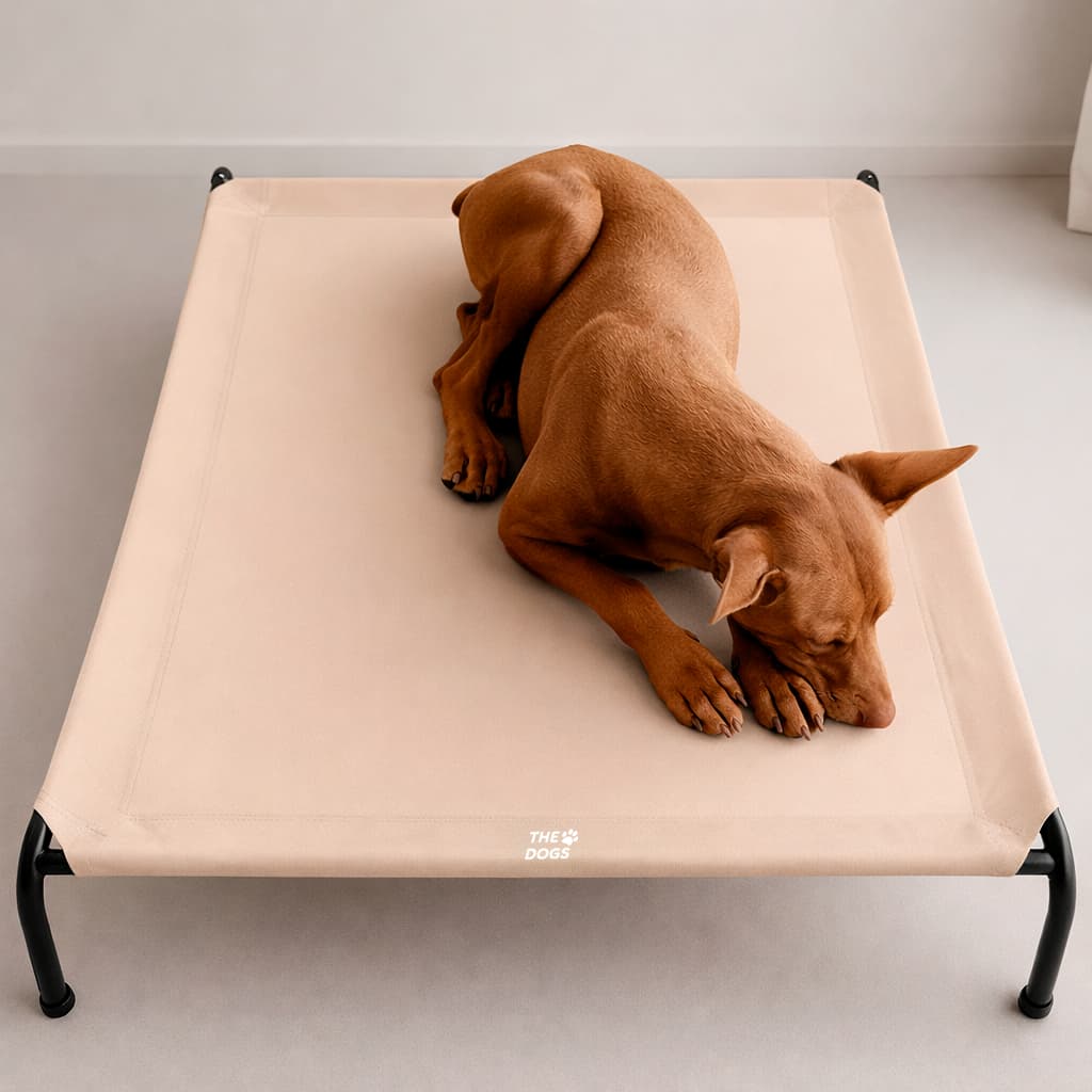Cama Elevada THE DOGS: Frescura y Ventilación