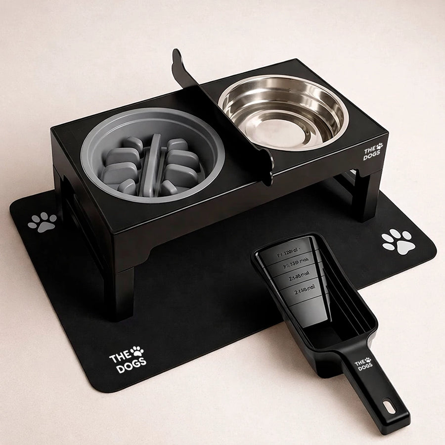 Estación de Comida Essential