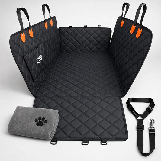 Auto limpio y Perro seguro