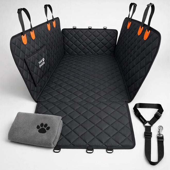 Kit auto limpio y perro seguro