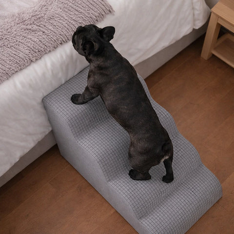 Rampa Pendiente Suave THE DOGS