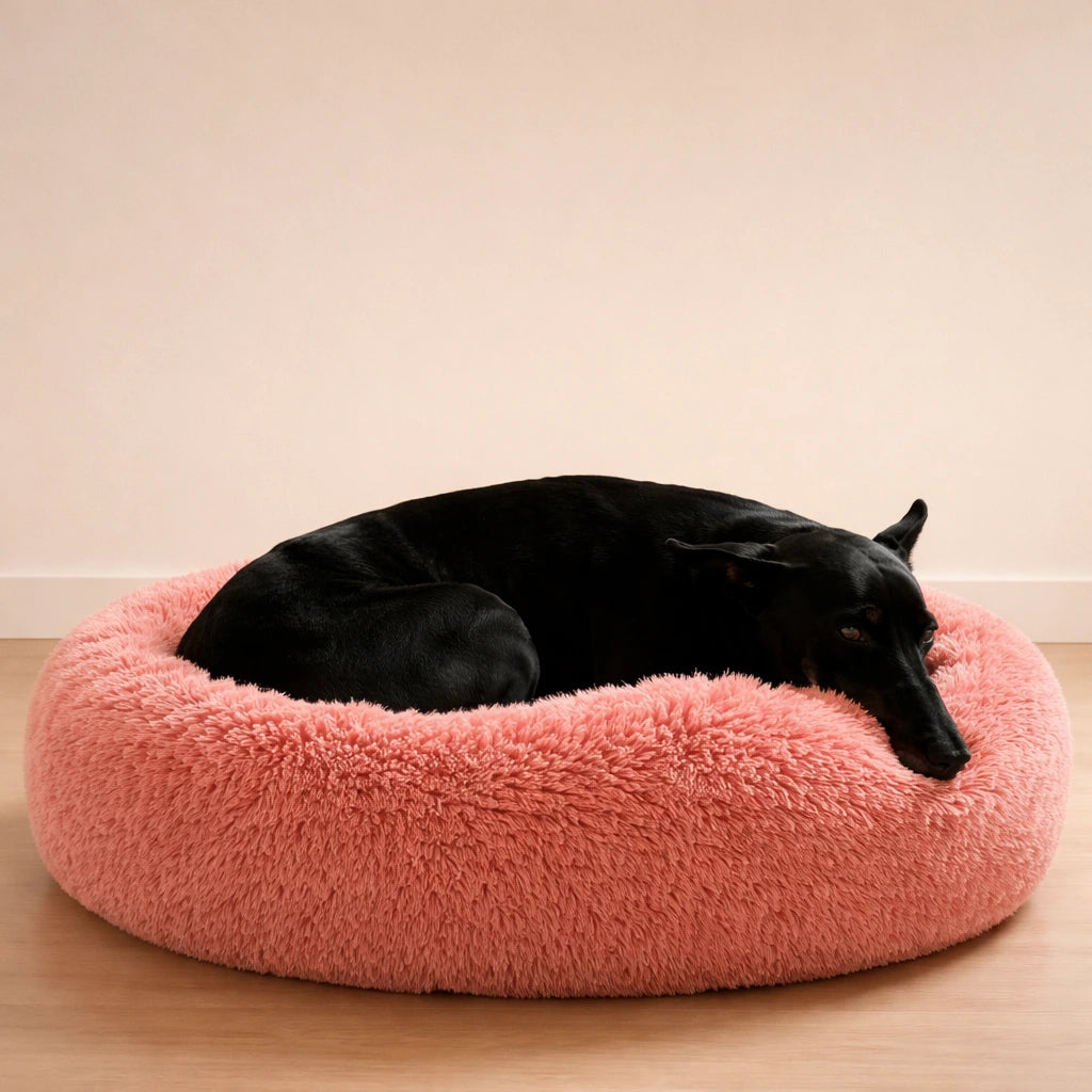 Cama Anti-Estrés THE DOGS — Menos ansiedad, más descanso