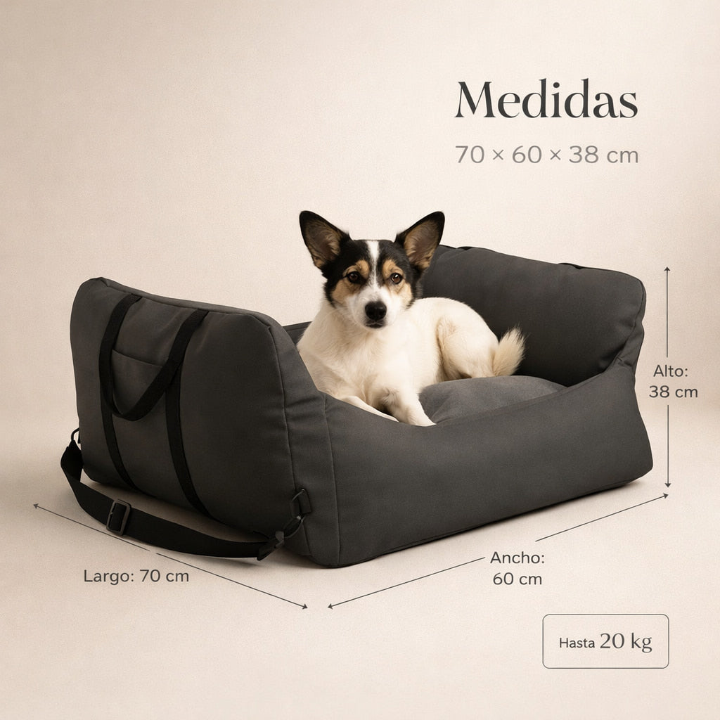 Asiento Primera Clase THE DOGS — Viajes seguros y cómodos
