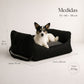 Asiento Primera Clase THE DOGS — Viajes seguros y cómodos