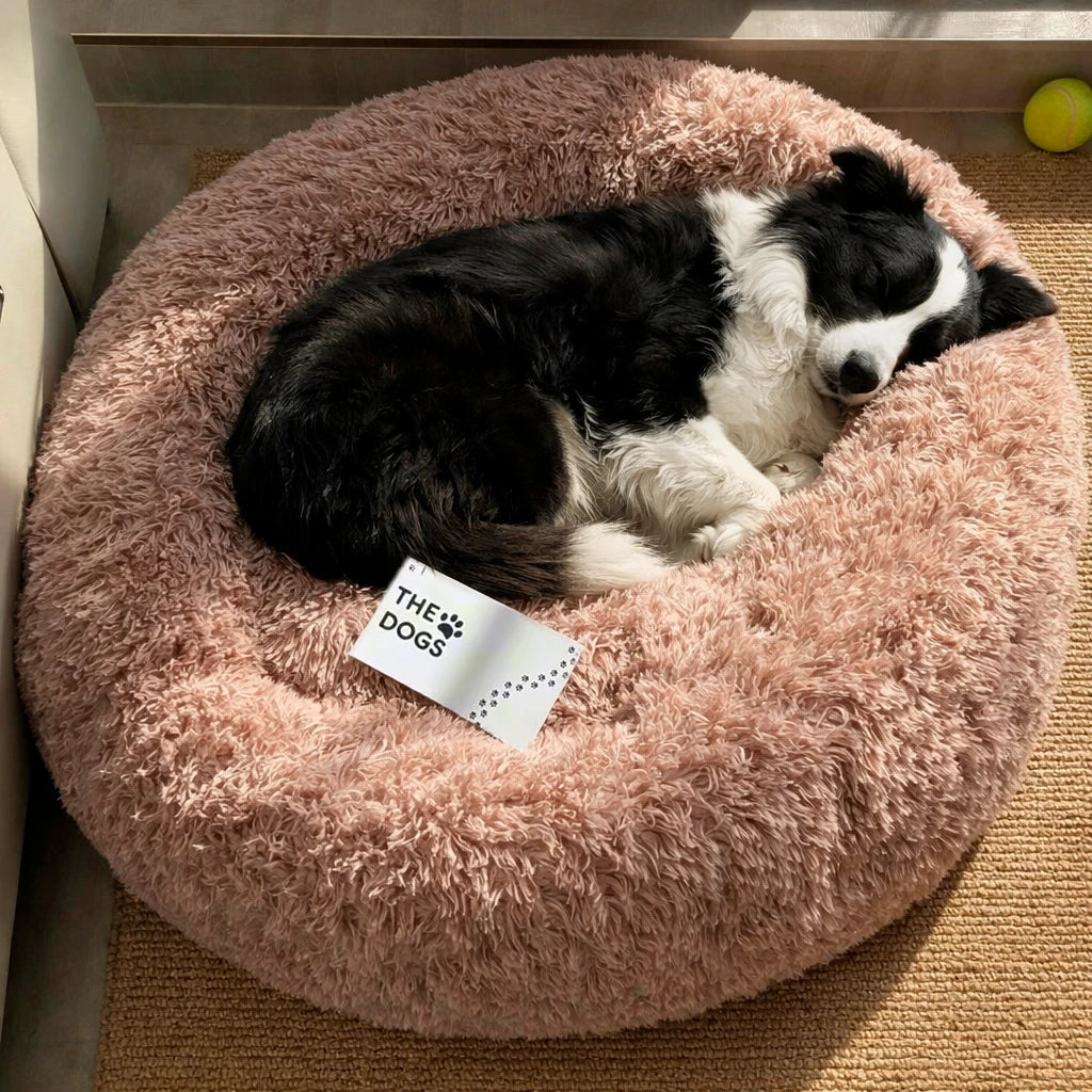 Cama Anti-Estrés THE DOGS — Menos ansiedad, más descanso