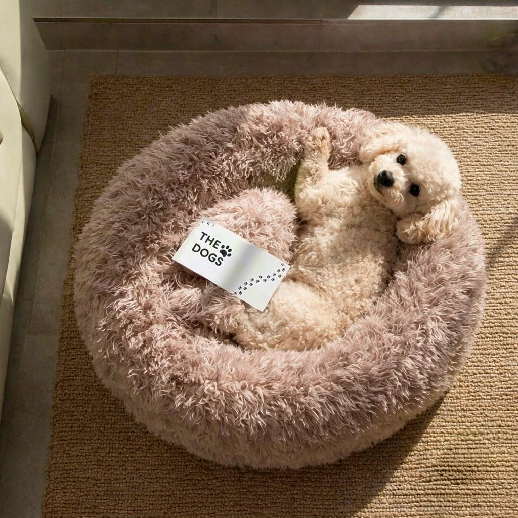 Cama Anti-Estrés THE DOGS — Menos ansiedad, más descanso