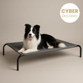 Cama Elevada THE DOGS: Frescura y Ventilación [Preventa]