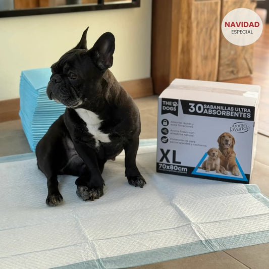 30 Sabanillas XL • 6 Capas • Lavanda