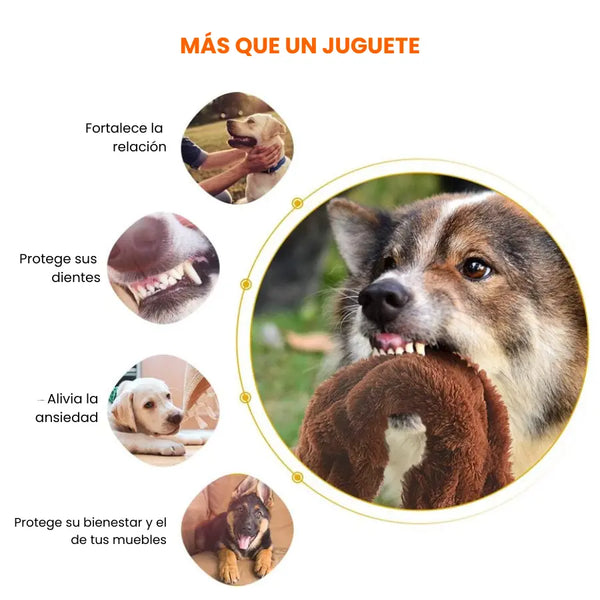 Pack 3x Juguetes THE DOGS: Anti-Estrés e Interactivos