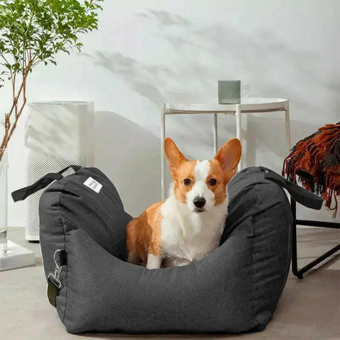 Asiento Primera Clase The Dogs - THE DOGS CHILE