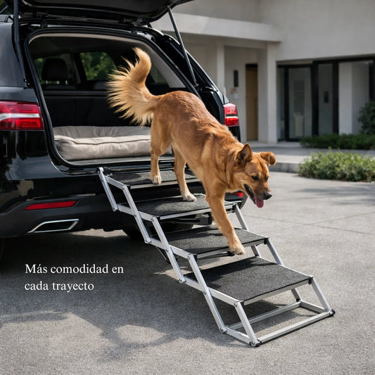 Escalera/Rampa Plegable para Auto