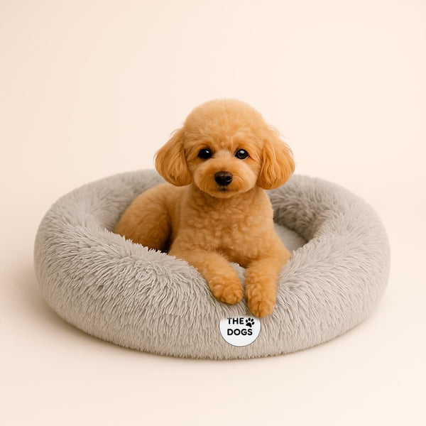 Cama Anti-Estrés THE DOGS — Menos ansiedad, más descanso