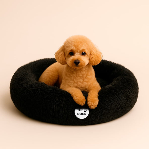 Cama Anti-Estrés THE DOGS — Menos ansiedad, más descanso