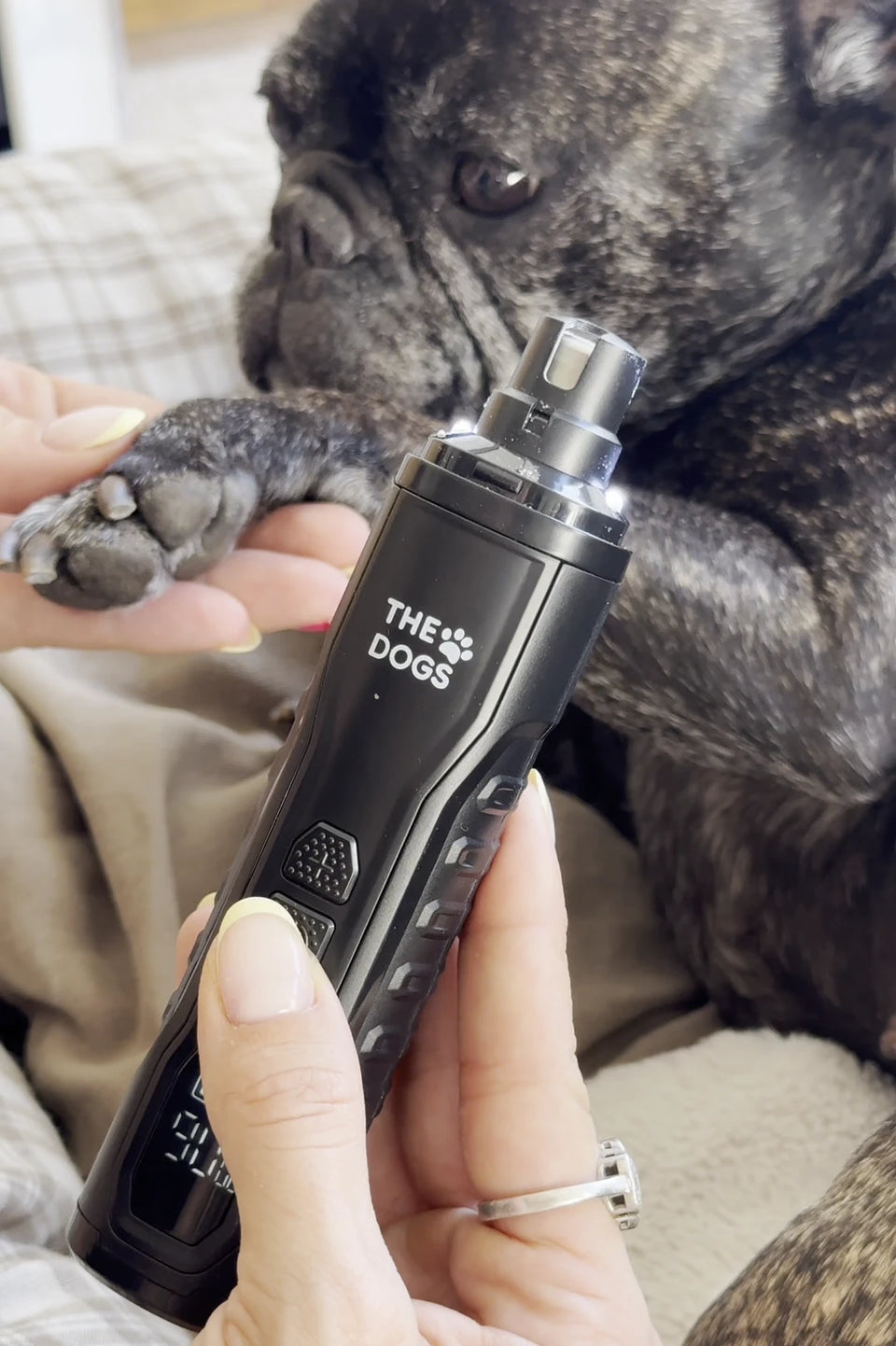 Ajuste de velocidad del limador de uñas THE DOGS NAILS según la sensibilidad del perro y el grosor de la uña