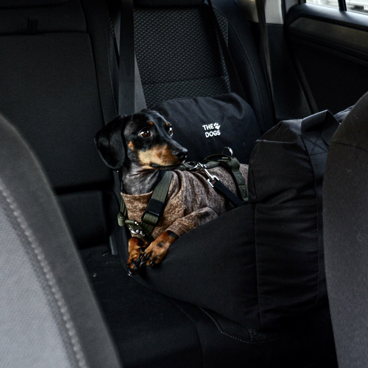 Asiento Primera Clase THE DOGS — Viajes seguros y cómodos
