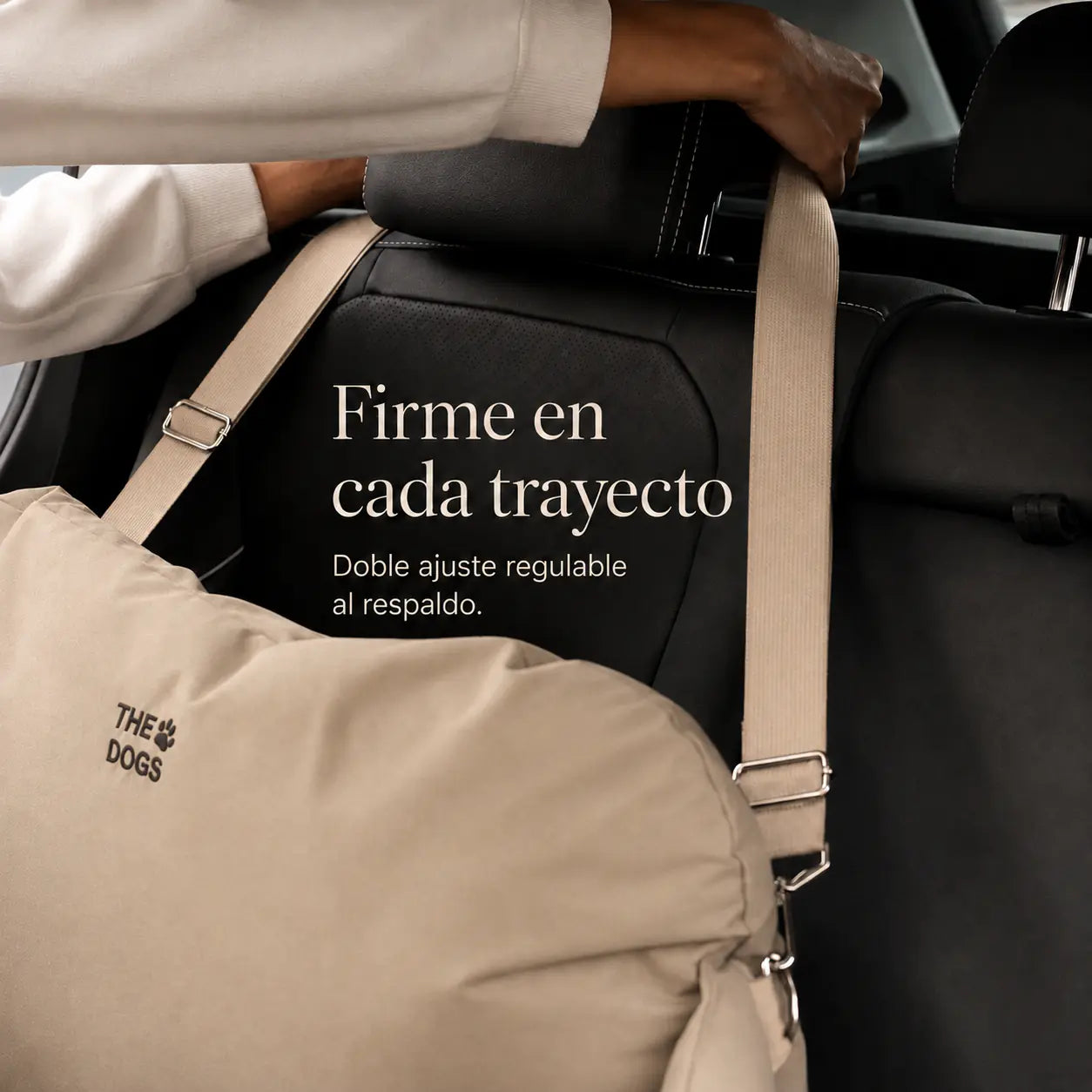 Asiento Primera Clase THE DOGS — Viajes seguros y cómodos