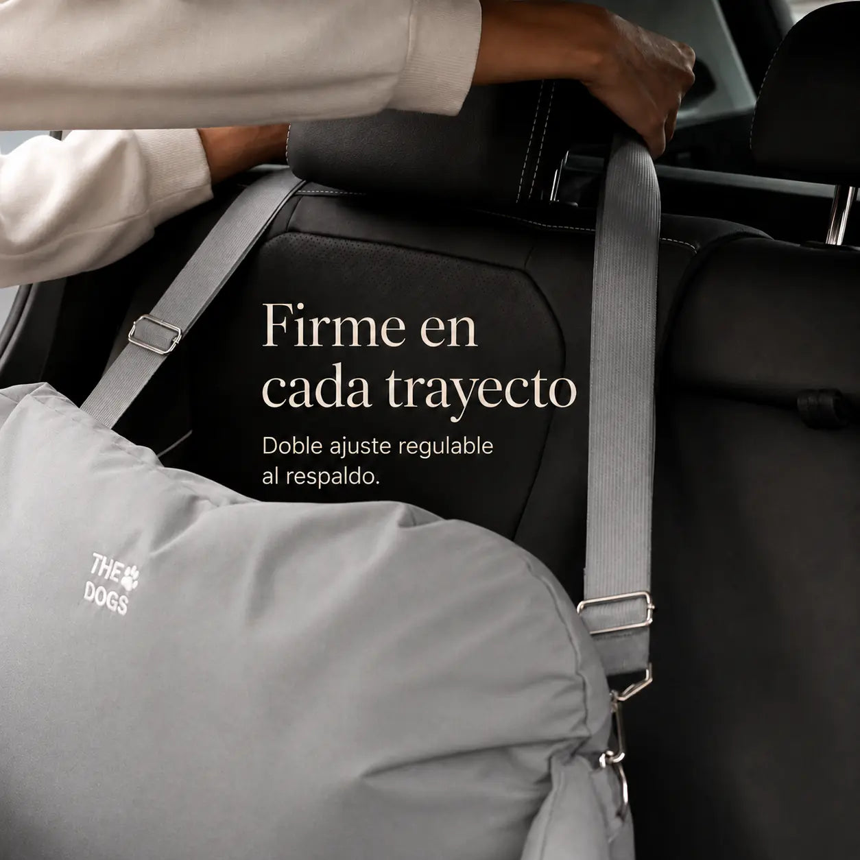 Asiento Primera Clase THE DOGS — Viajes seguros y cómodos