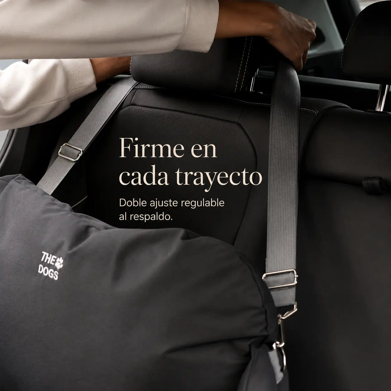 Asiento Primera Clase THE DOGS — Viajes seguros y cómodos