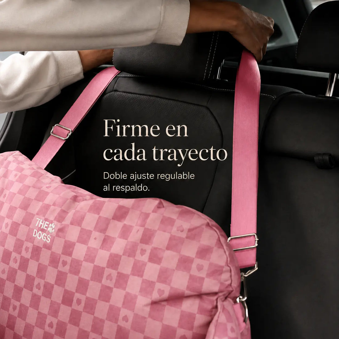 Asiento Primera Clase THE DOGS — Viajes seguros y cómodos