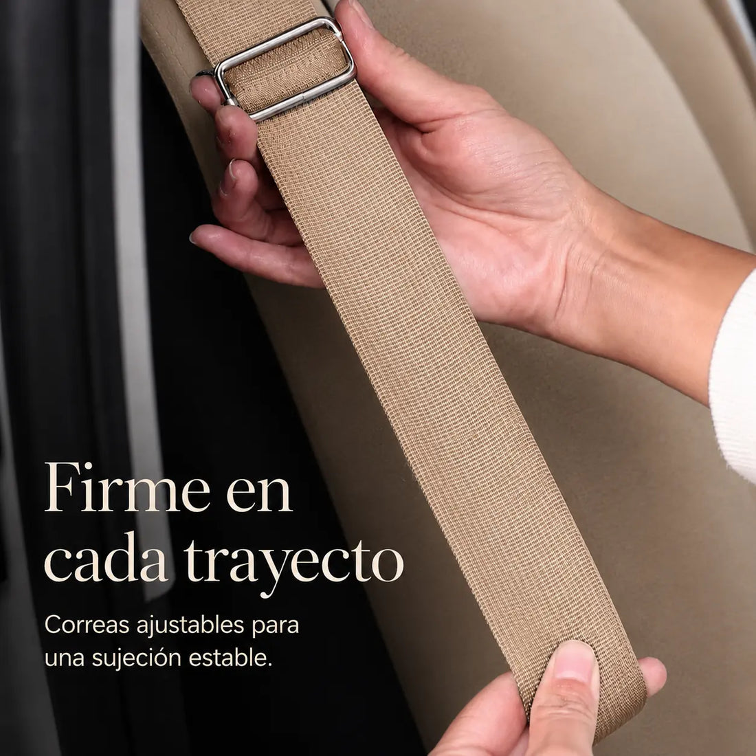 Asiento Primera Clase THE DOGS — Viajes seguros y cómodos