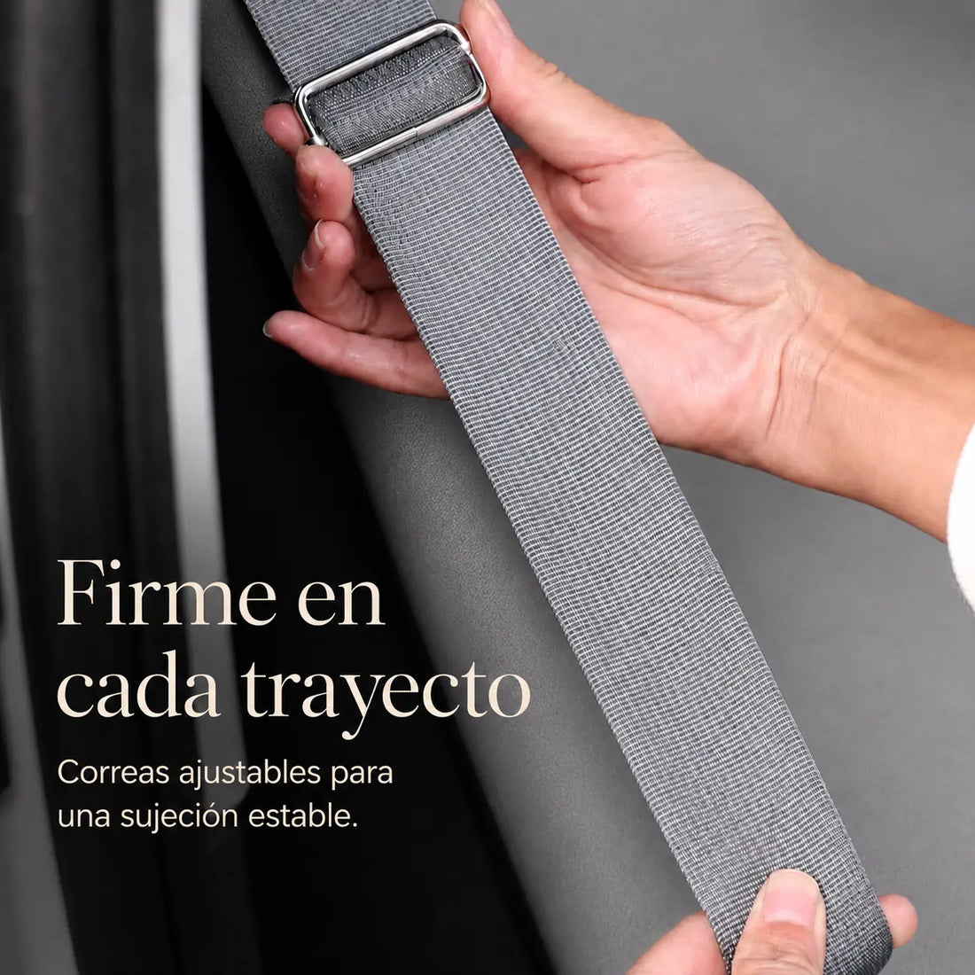 Asiento Primera Clase THE DOGS — Viajes seguros y cómodos