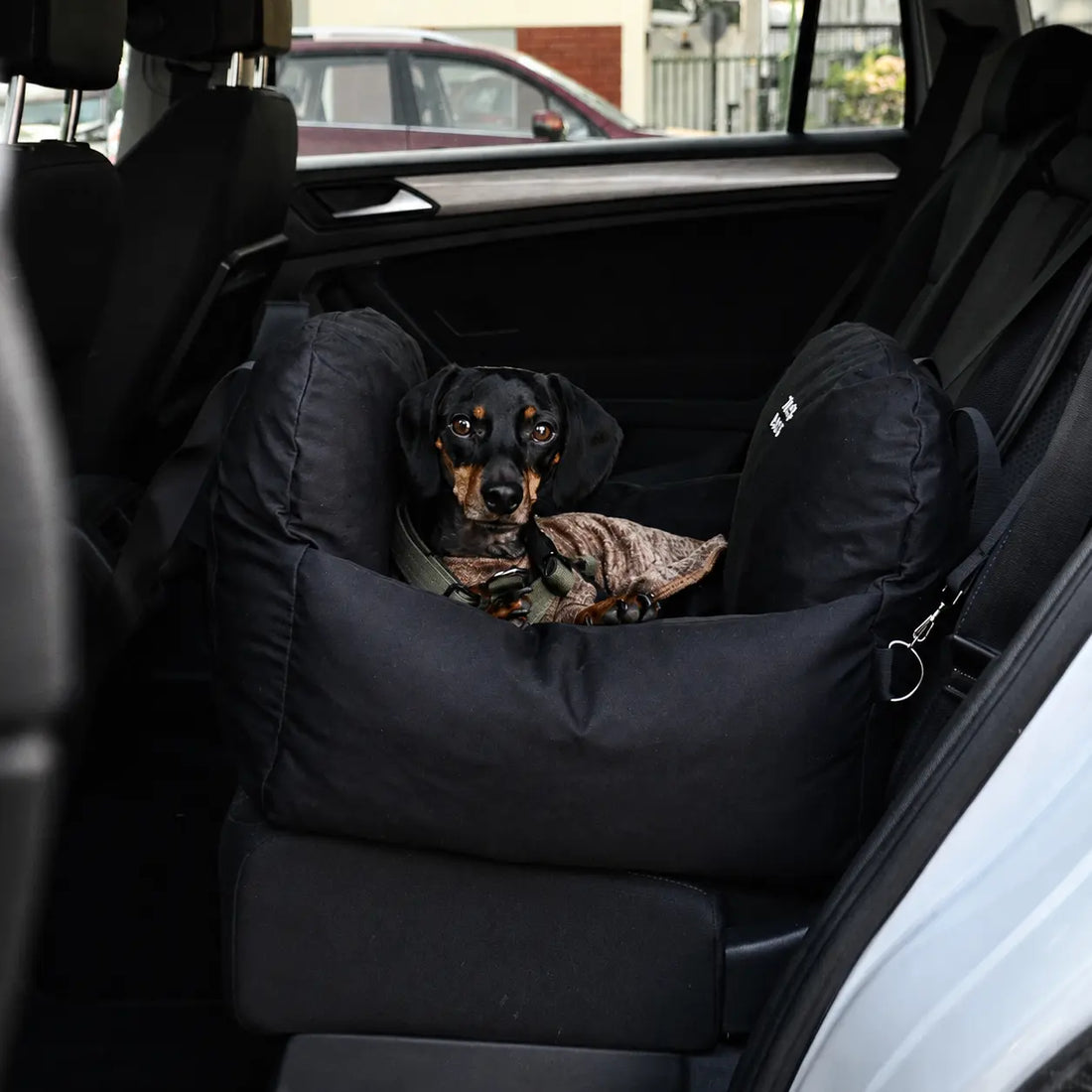 Asiento Primera Clase THE DOGS — Viajes seguros y cómodos