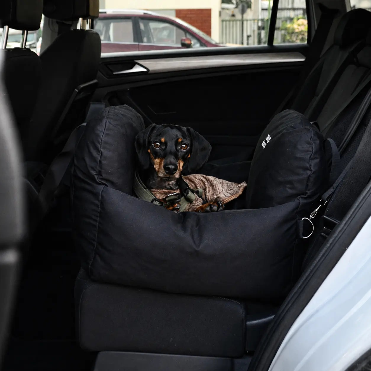 Asiento Primera Clase THE DOGS — Viajes seguros y cómodos