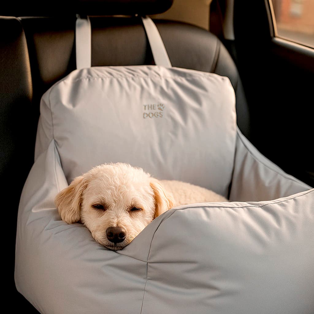 Asiento Primera Clase THE DOGS — Viajes seguros y cómodos