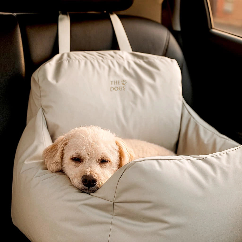 Asiento Primera Clase THE DOGS — Viajes seguros y cómodos